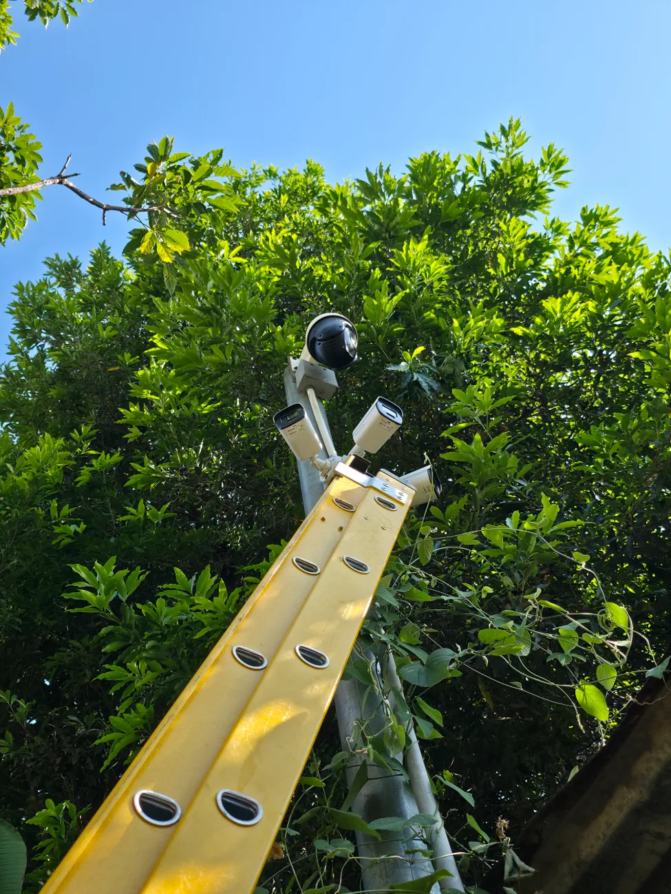 Proyecto CCTV 6